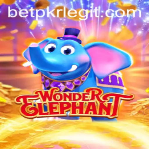 A Magical Journey with WonderElephant and BETPKR